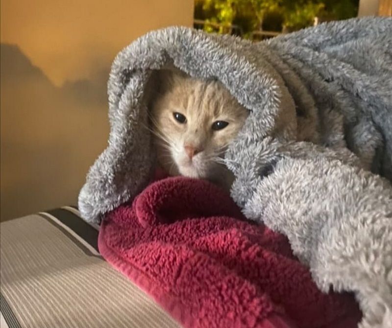 רגע בעיר צילום דוברות העירייה